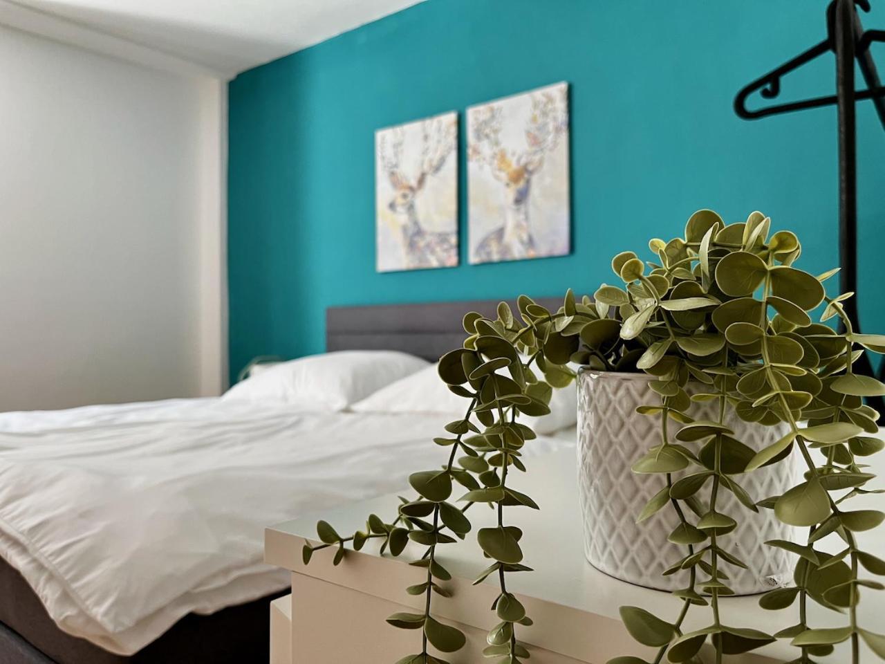 Zentrale Altstadt-ferienwohnung Bamberg